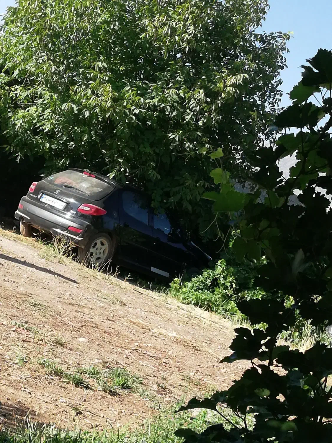 اجاره کشاورزی مهکویه ۳هکتار برقی ۲۰ هکتار گازوییل|اجارهٔ دفتر صنعتی، کشاورزی، تجاری|میمند, |دیوار