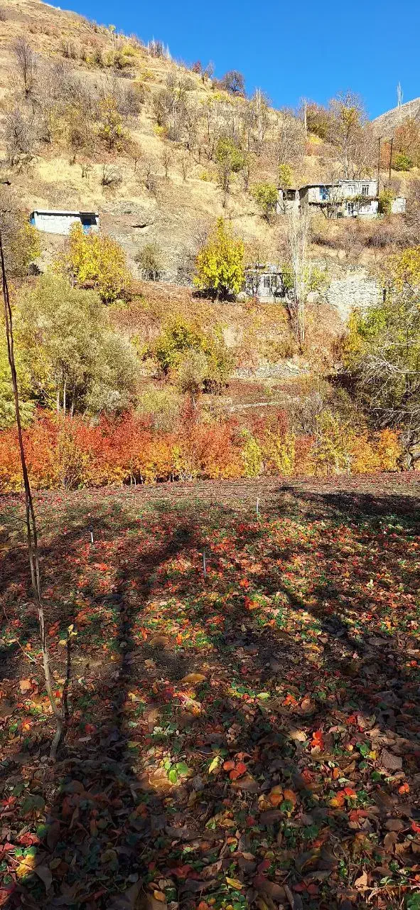 کارت ملی گم شده به اسم داوود پیری|اشیا|سنندج, |دیوار