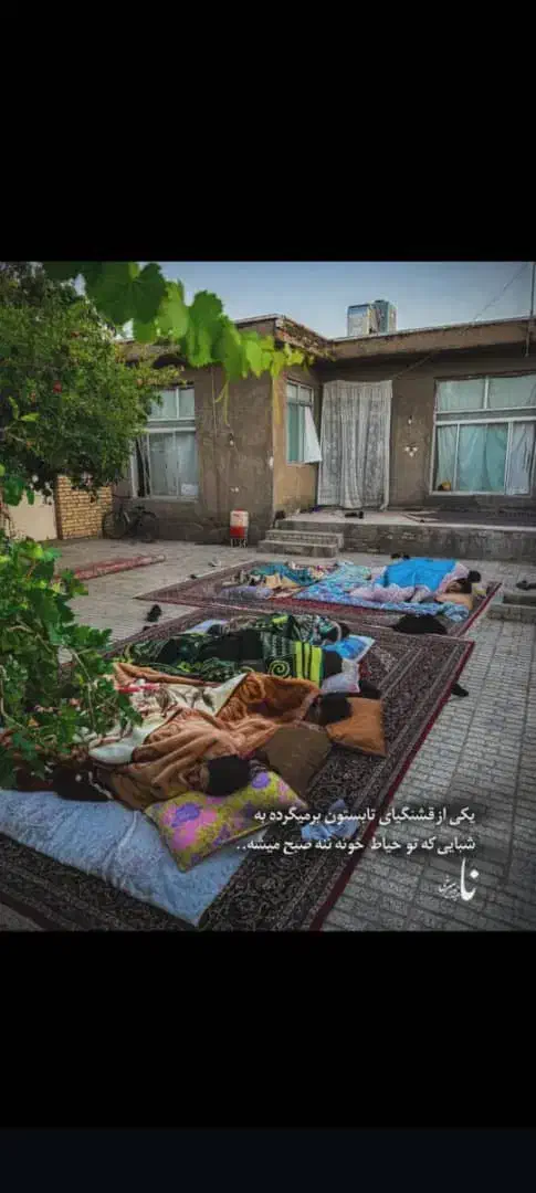 خوابگاه دخترانه|اجارهٔ آپارتمان|شیراز, اصلاح‌نژاد|دیوار