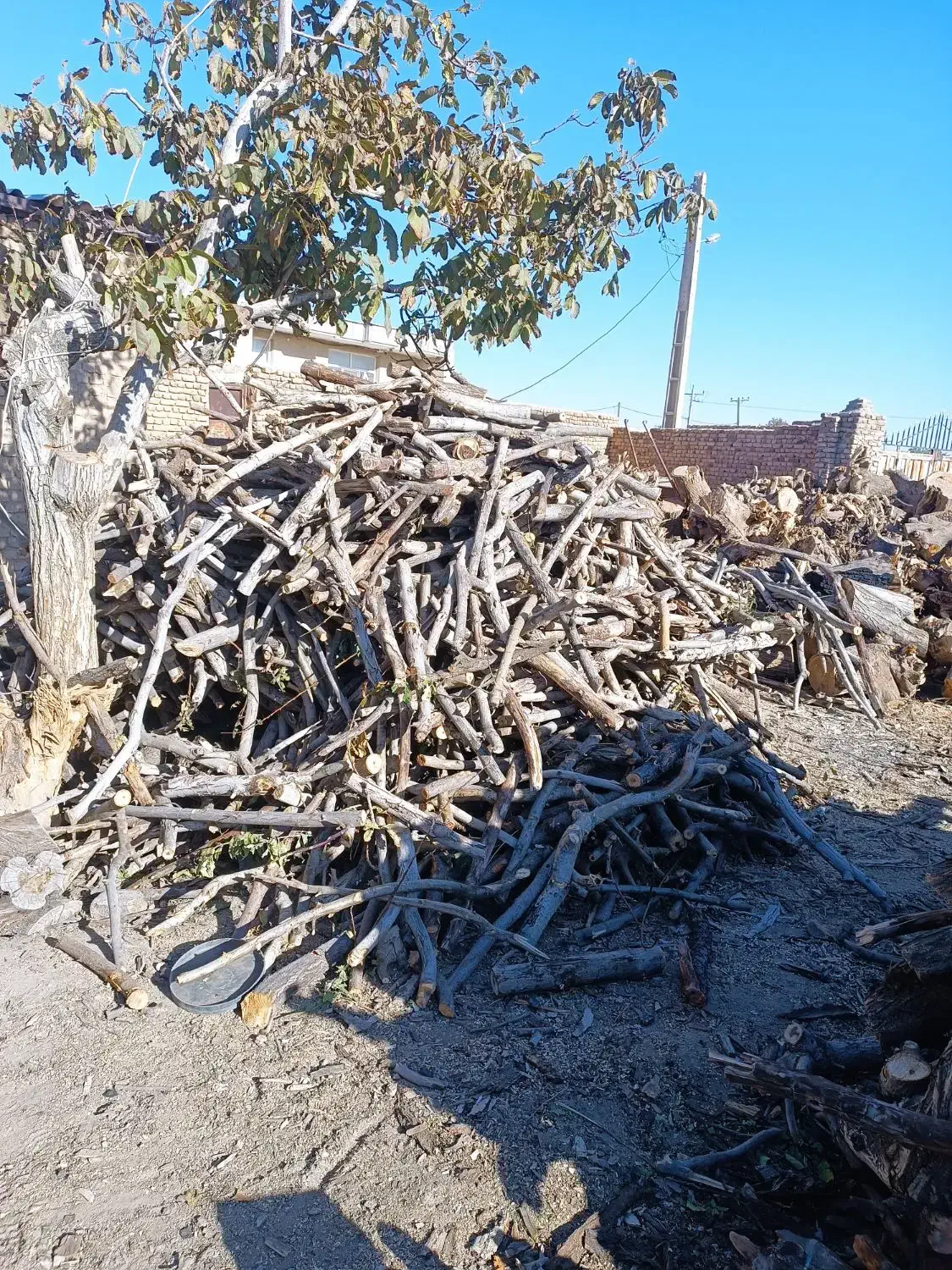 زغال کبابی چوب میوه|عمدهفروشی|ملایر, |دیوار