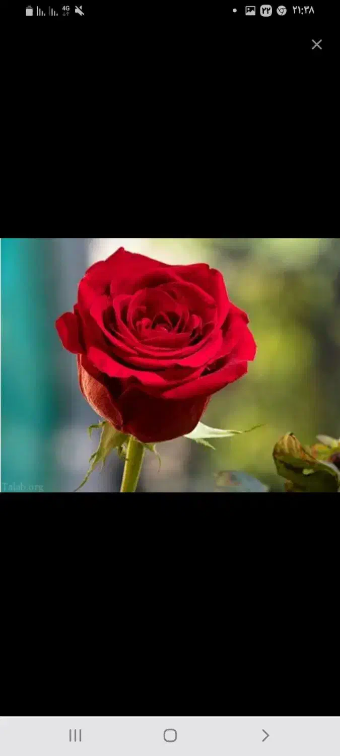 راهنمایی کنید|فعالیت داوطلبانه|خرم‌آباد, |دیوار