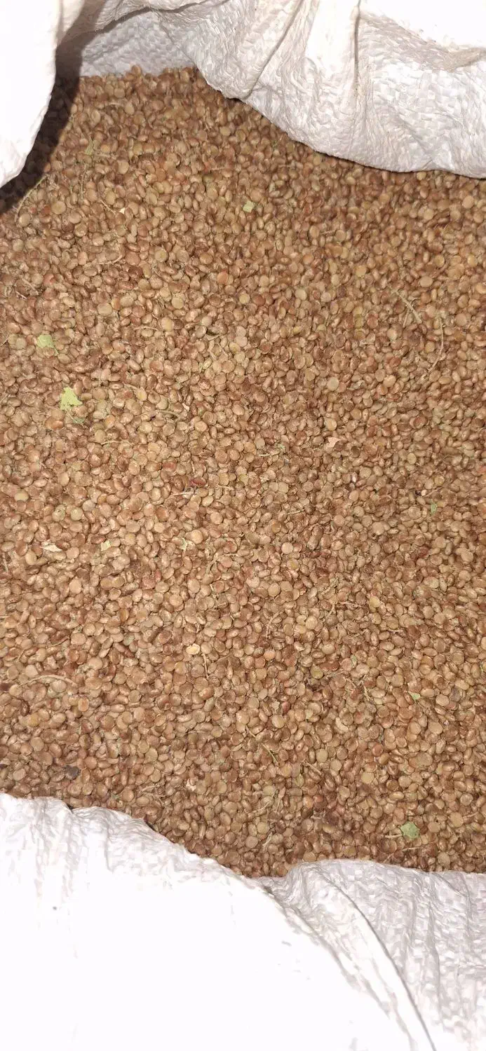 سماق|خوردنی و آشامیدنی|خمینی‌شهر, |دیوار