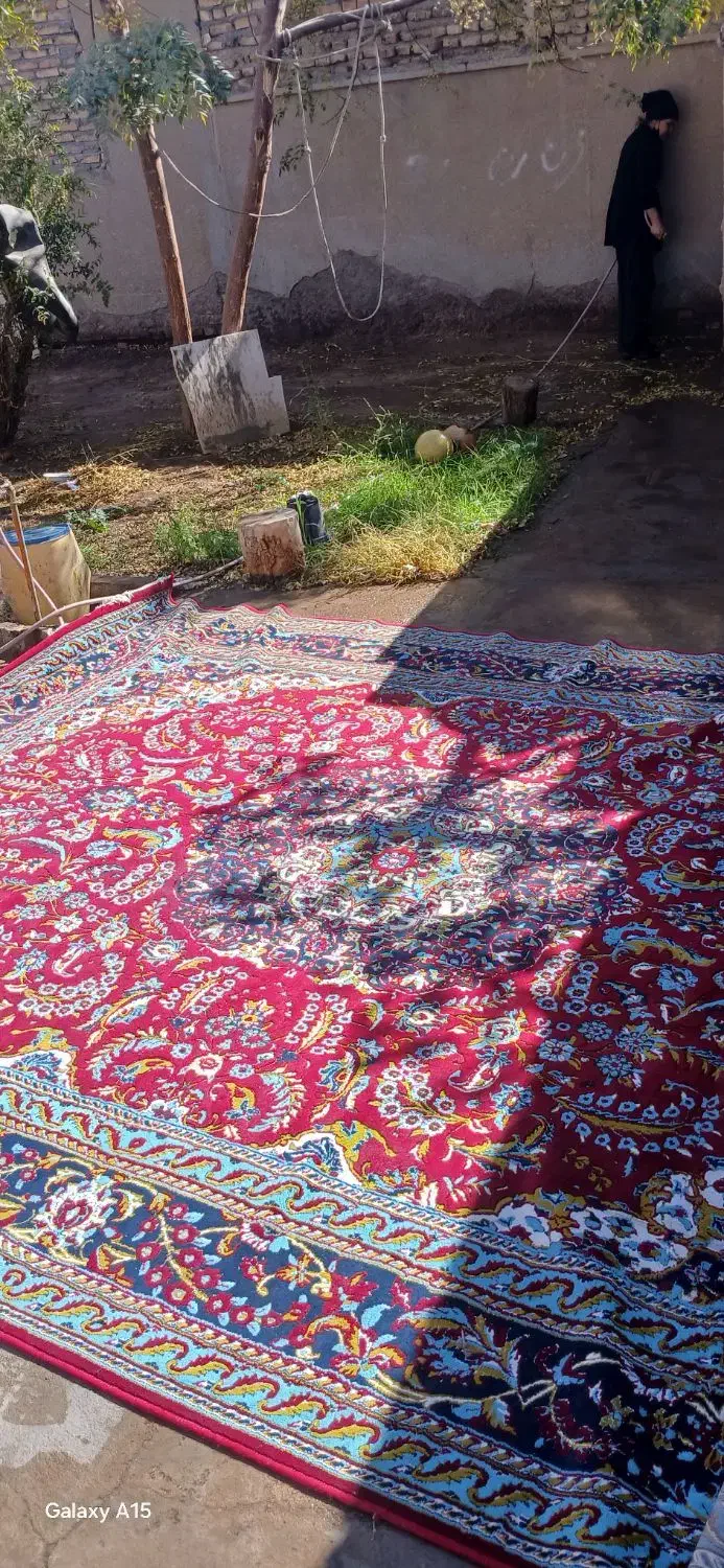 فوری.|فرش|فردوس (خراسان), |دیوار