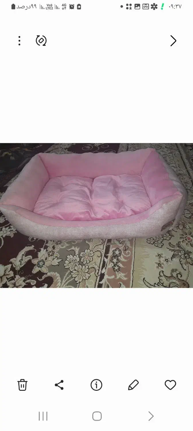 جای خواب سگ|لوازم جانبی حیوانات|شیراز, کوشک میدان|دیوار