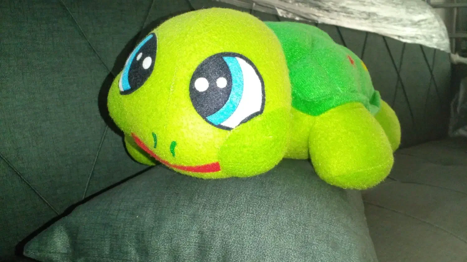 عروسک لاک پشت.|اسباب‌بازی بچه|قدس, شهر‌قدس|دیوار