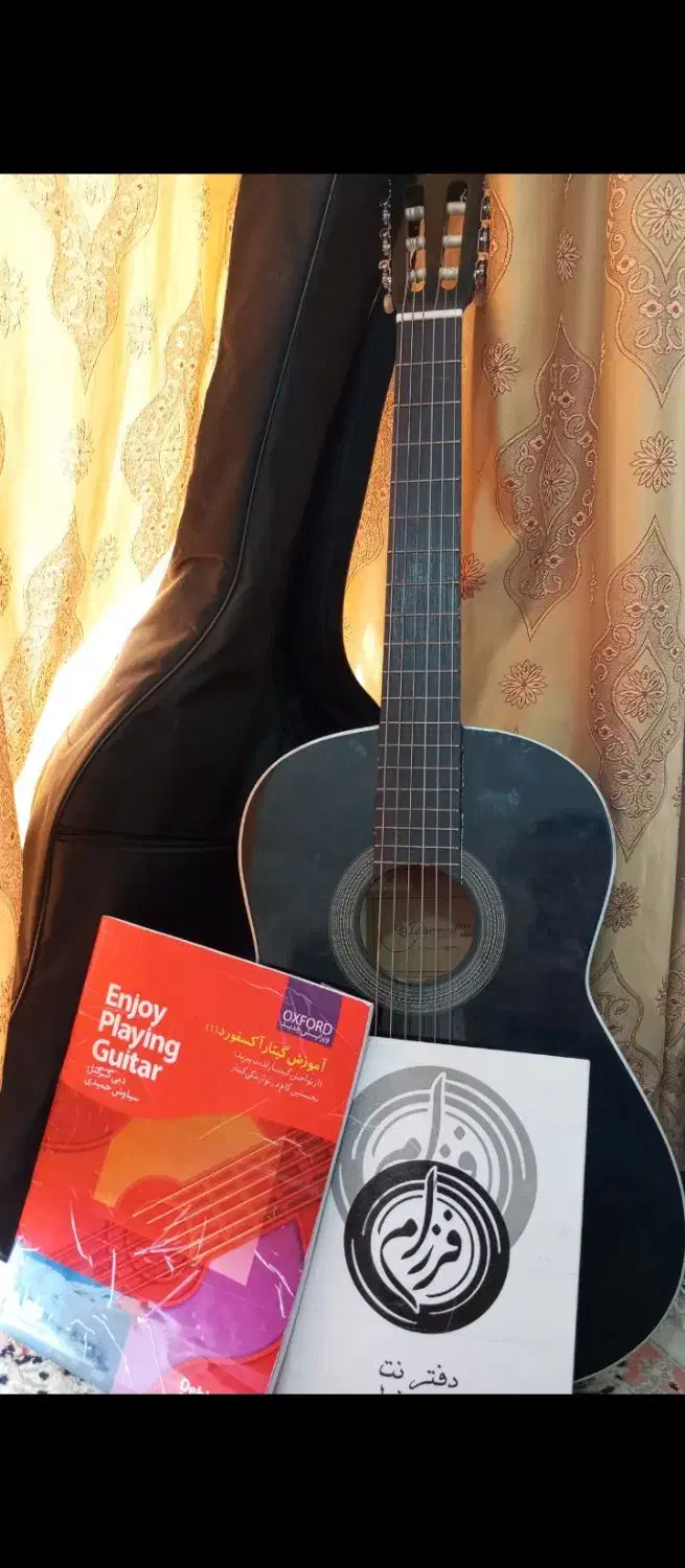 گیتار دیاموند الماس|گیتار، بیس، امپلیفایر|شیراز, سیاه سنگ|دیوار