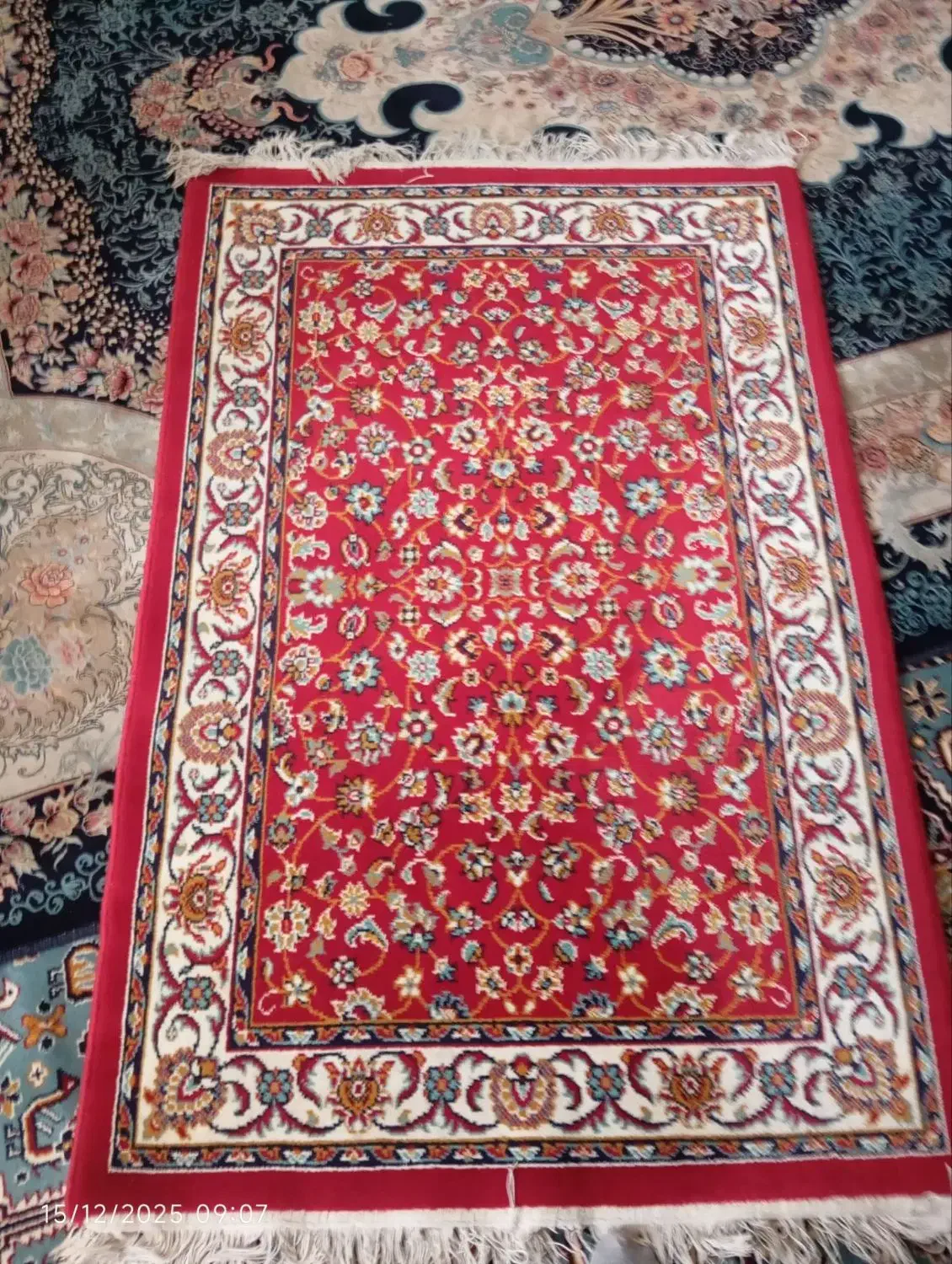 قالیچه ماشینی  و گلیم|فرش|تایباد, |دیوار