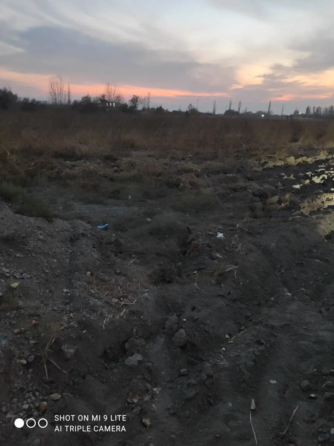 اجاره زمین یک و نیم طناب با برق در روستای طلاتپه|اجارهٔ دفتر صنعتی، کشاورزی، تجاری|ارومیه, |دیوار