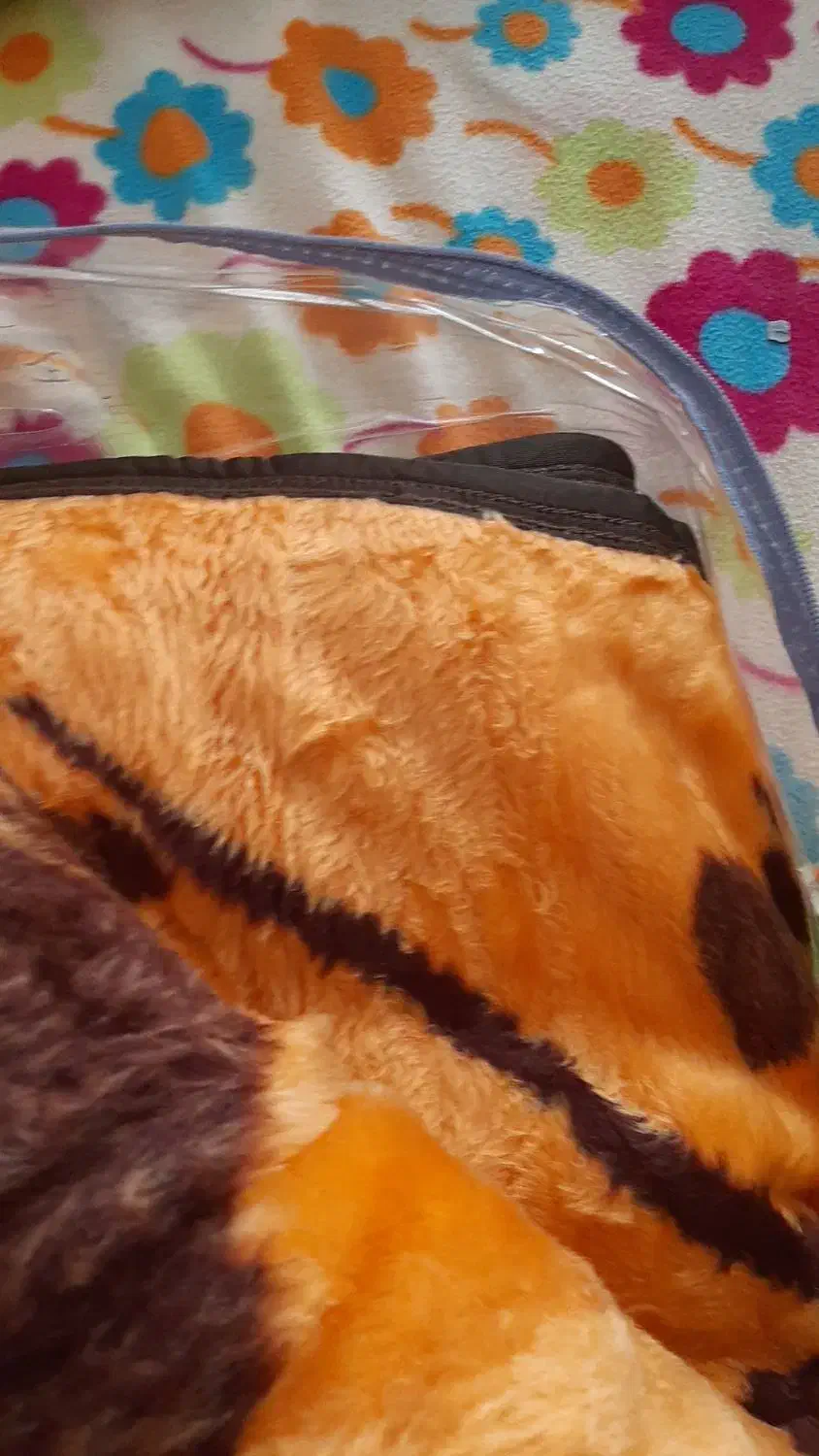 پتو نو|رختخواب، بالش، پتو|خمینی‌شهر, |دیوار