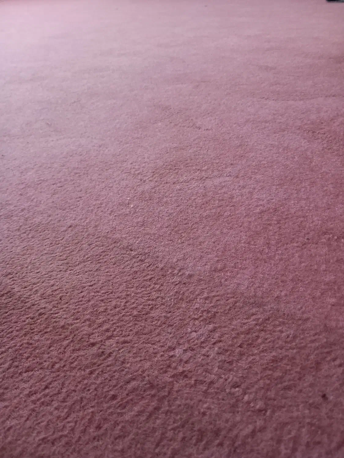 موکت|موکت|زنجان, |دیوار