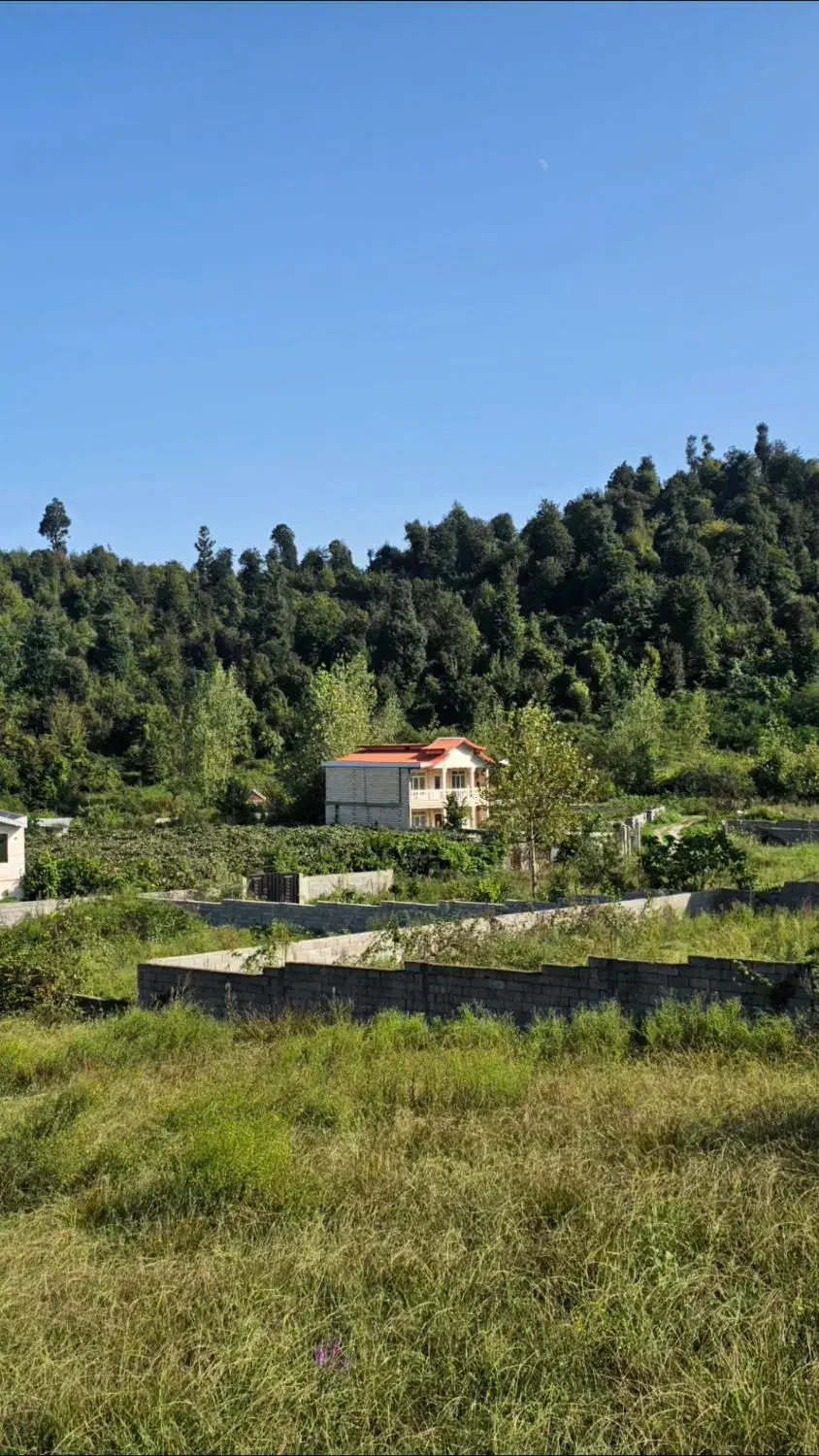 زمین درتالش کوهپایه ای جنگل پول لازم اسالم طولارود|فروش زمین و ملک کلنگی|تالش, طولارود|دیوار