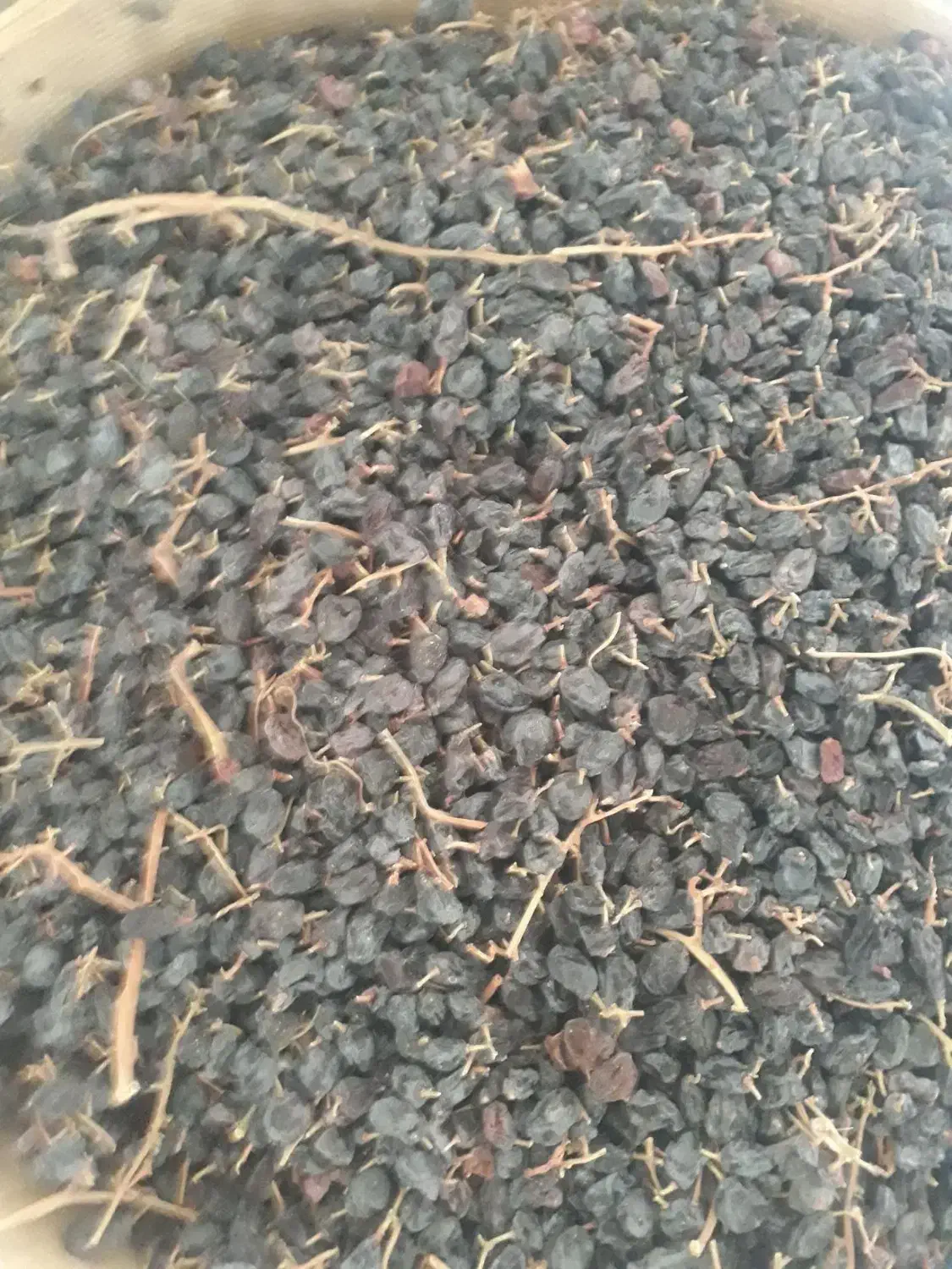 کشمش افتابی|خوردنی و آشامیدنی|اسفرورین, |دیوار