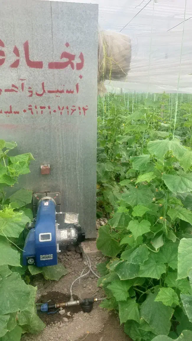 سازه فلزی گلخانه|ماشین‌آلات صنعتی|پیر بکران, |دیوار