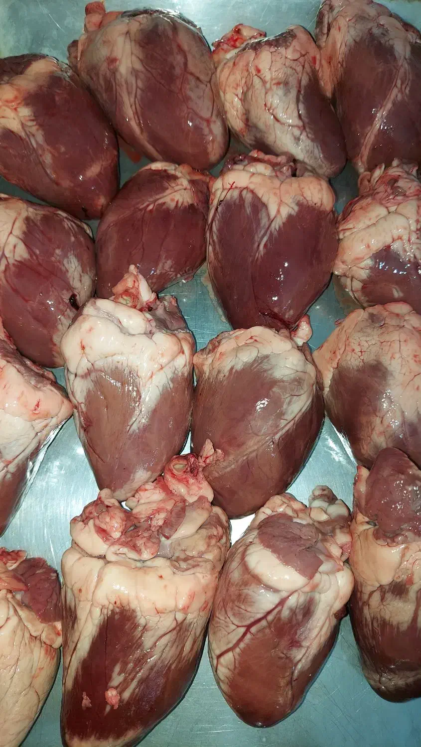 دل و قلوه   گوسفندی|خوردنی و آشامیدنی|تهران, شهرک ولیعصر شمالی|دیوار