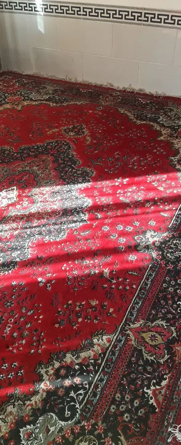 فرش ۱۲ متری ترو تمیز|فرش|فسا, |دیوار