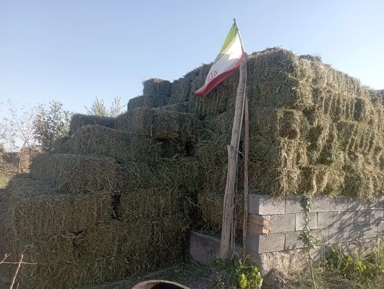 پرس خشک درجه یک|خدمات باغبانی و درختکاری|گلپایگان, |دیوار