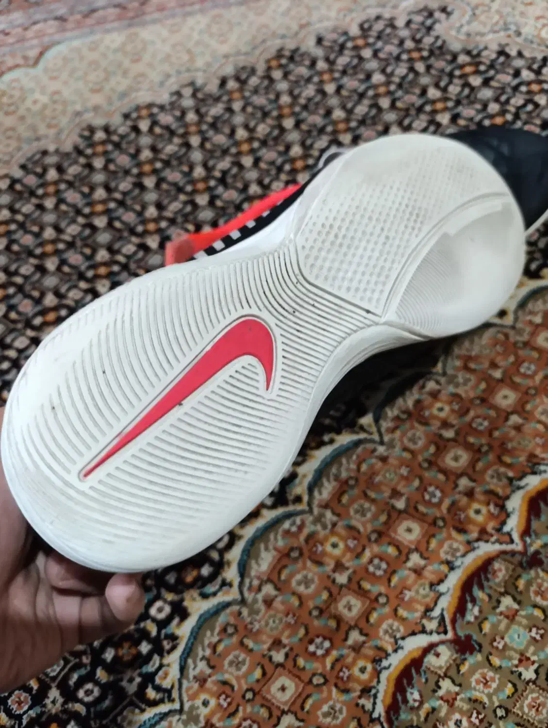 کفش فوتسال لونار گتو|کیف، کفش، کمربند|تبریز, |دیوار