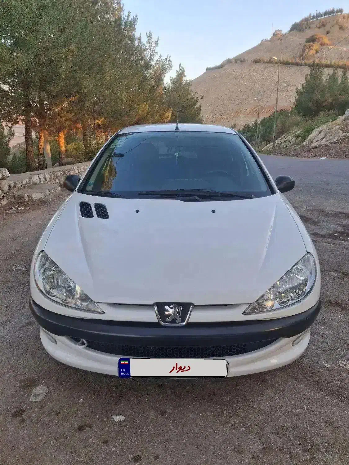 206 خانگی کم کار بی رنگ تحویلی 1402|خودرو سواری و وانت|خرم‌آباد, |دیوار