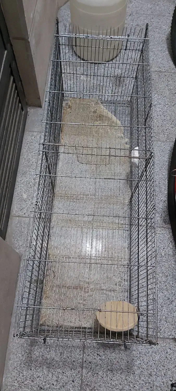 قفس بزرگ|پرنده|تهران, مجیدآباد|دیوار