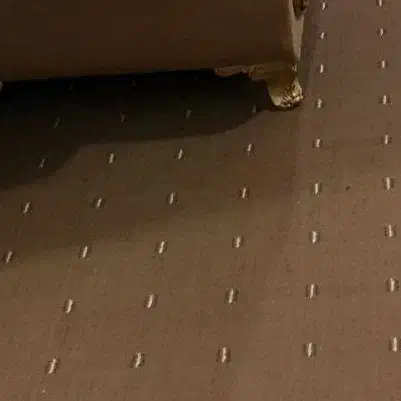 پالاز موکت قهوه ای حدود 28 متر|موکت|ایوان, |دیوار