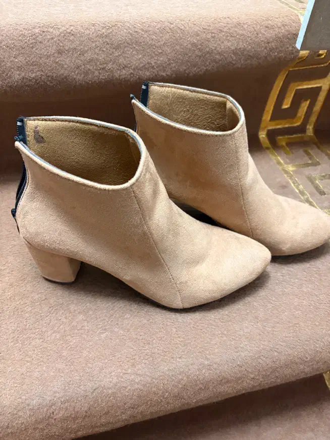 بوت و کفش|کیف، کفش، کمربند|بیرجند, |دیوار