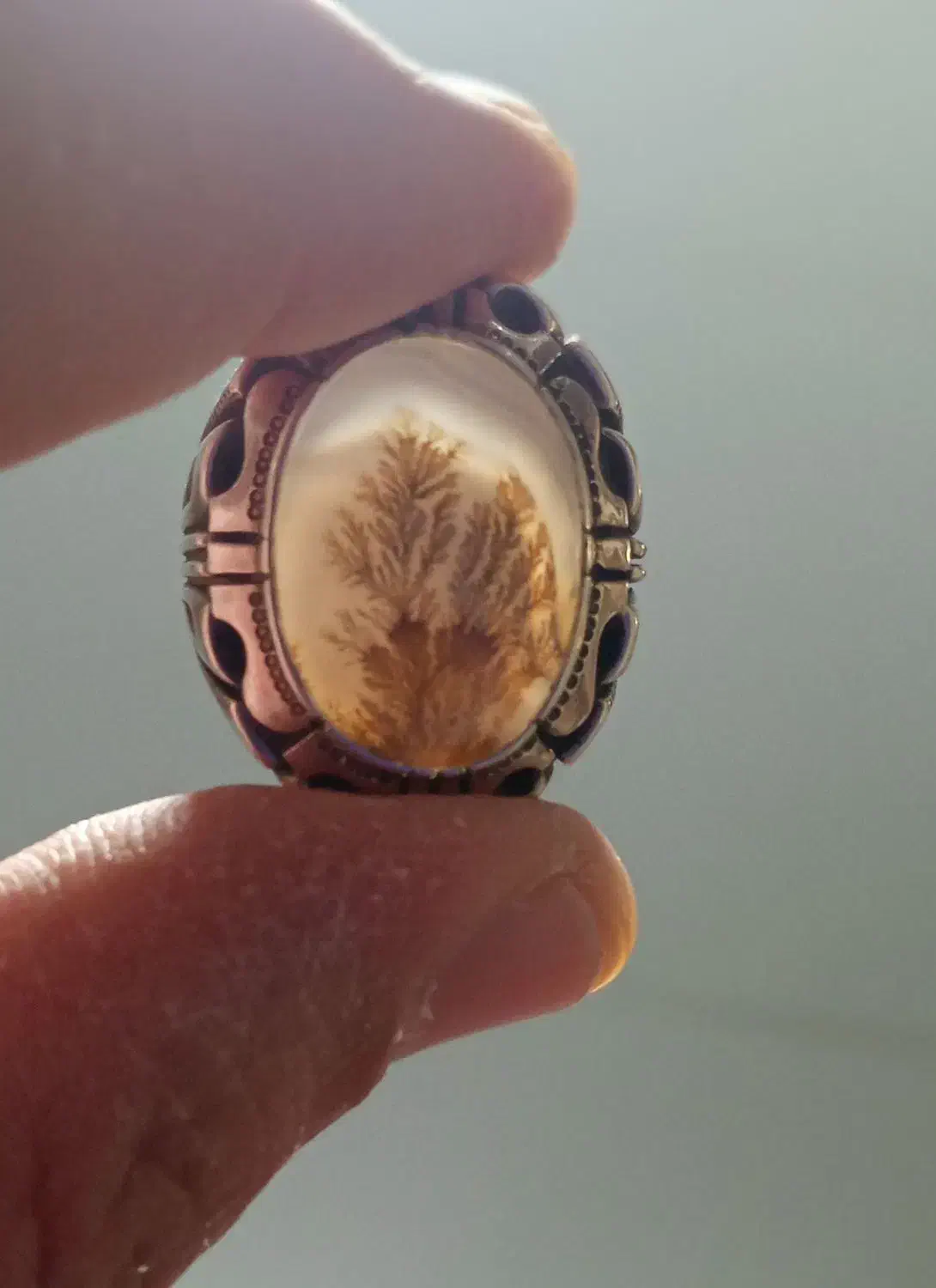 شجرطبیعی|جواهرات|کبودرآهنگ, |دیوار