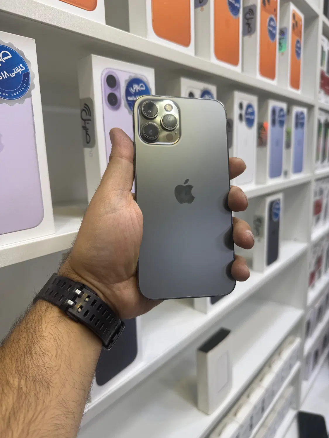 iphon 12 pro max|موبایل|تهران, شیخ هادی|دیوار