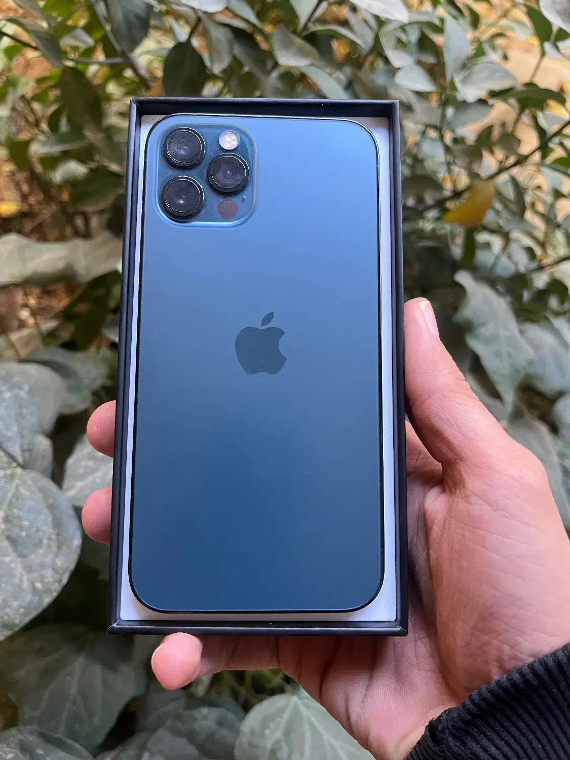 ایفون ۱۲ پرو لاکاغذی|موبایل|اصفهان, گلزار|دیوار