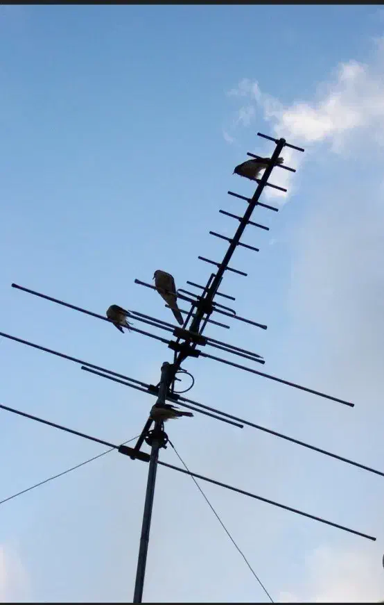 انتن تلوزیون رو میزی و هوایی|صوتی و تصویری|تهران, جنتآباد جنوبی|دیوار