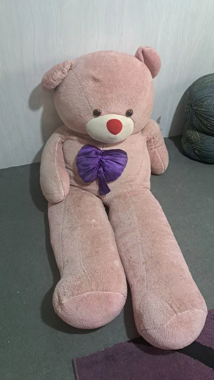 خرس بزرگ|اسباب‌بازی بچه|گرگان, |دیوار