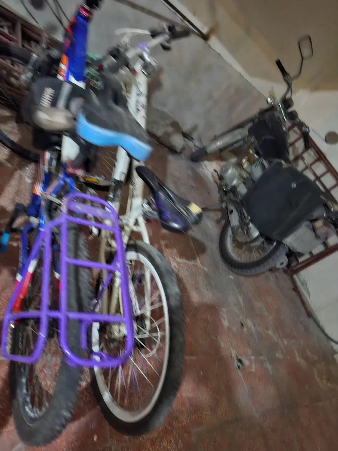 دوچرخه ۲۴ اصلی ویوو|دوچرخه، اسکیت، اسکوتر|بندر ماهشهر, |دیوار