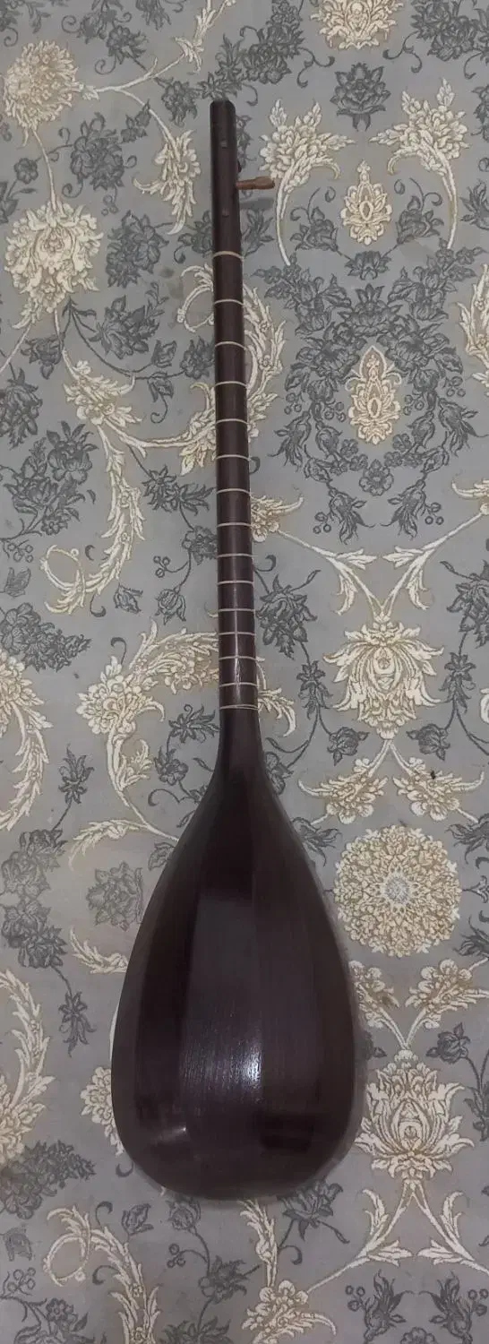 ساز تنبور|سازهای سنتی|ایلام, |دیوار