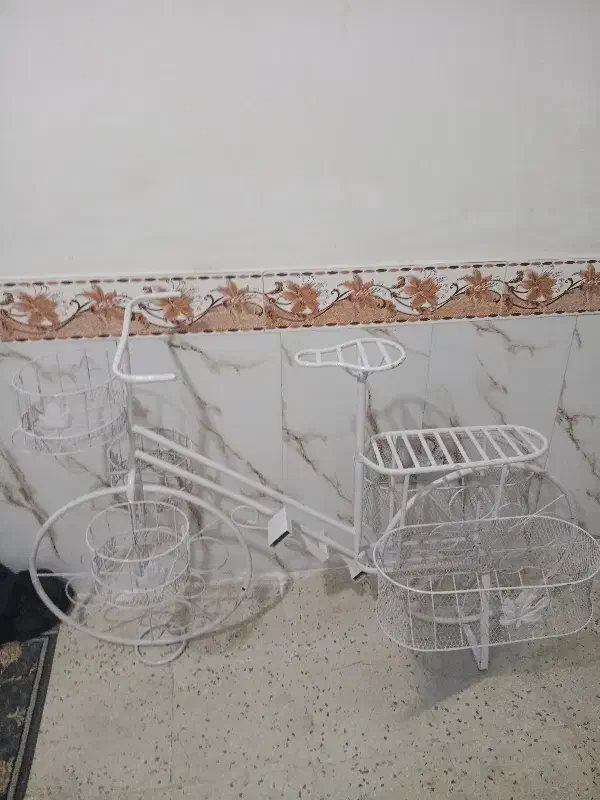 استندگل|گل و گیاه طبیعی|پاکدشت, حصار امیر|دیوار