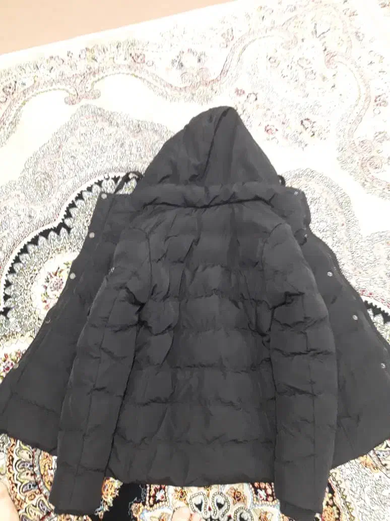 کاپشن نو و تمیز مردانه مشکی|لباس|رشت, حومه رشت|دیوار