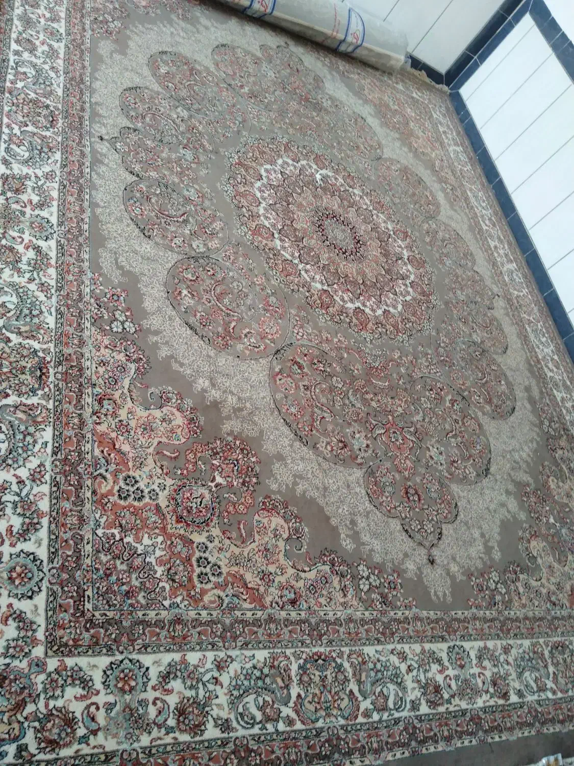 فرش 12 متری گردویی درحد نو|فرش|خواف, |دیوار