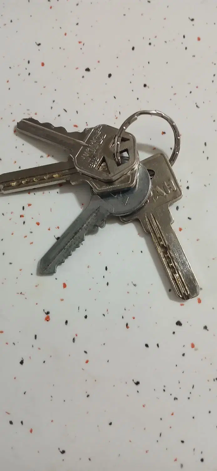 گم شده|اشیا|اصفهان, احمدآباد|دیوار