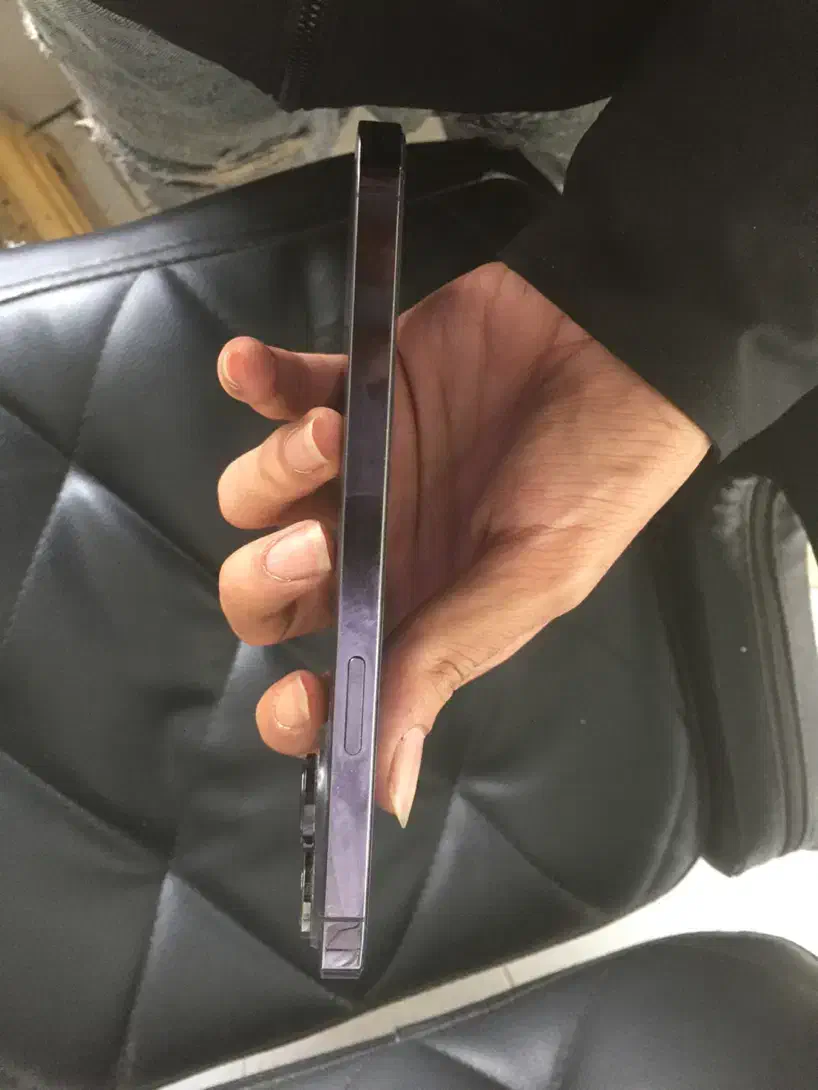 ایفون 14 پرو مکس|موبایل|بابل, |دیوار