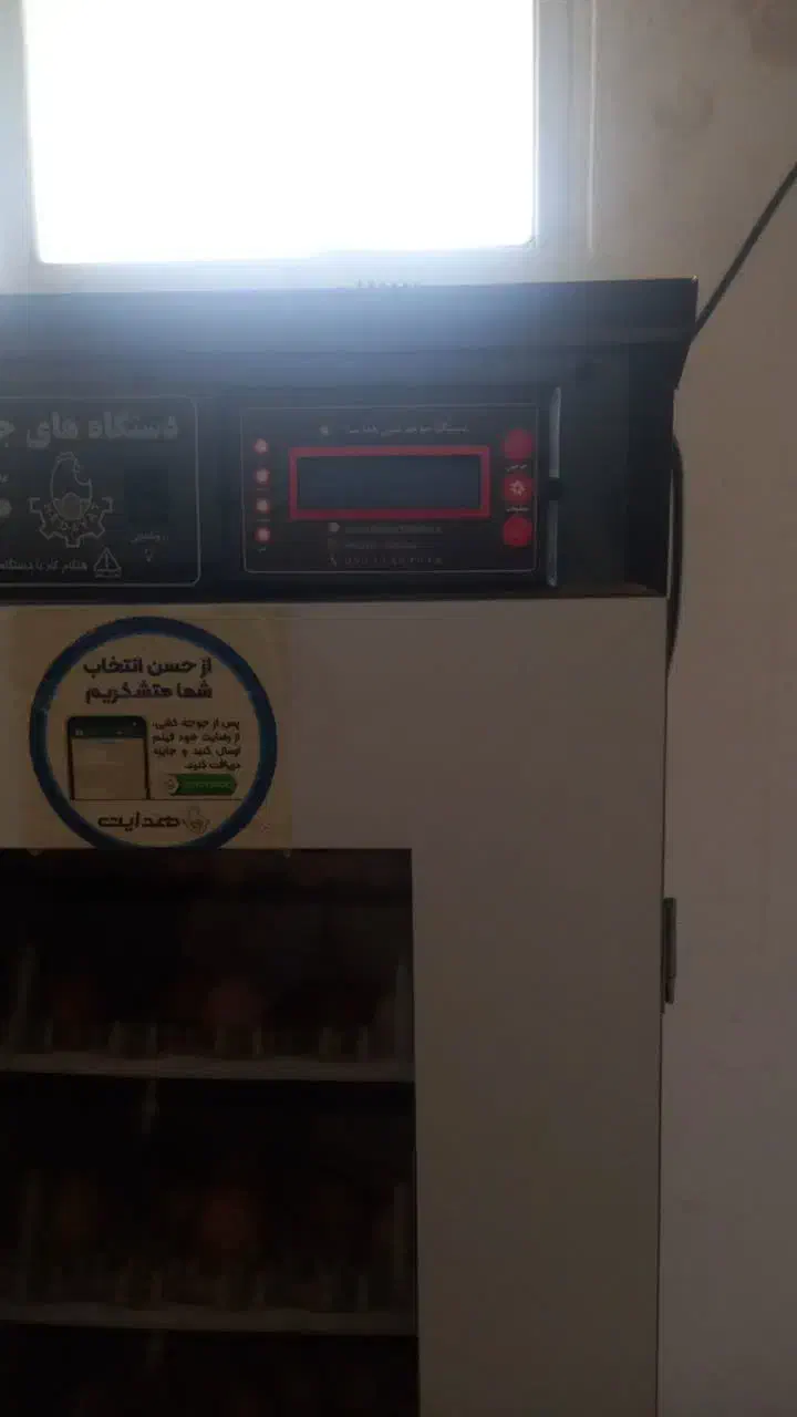 دستگاه جوجه کشی|لوازم جانبی حیوانات|قرق, |دیوار