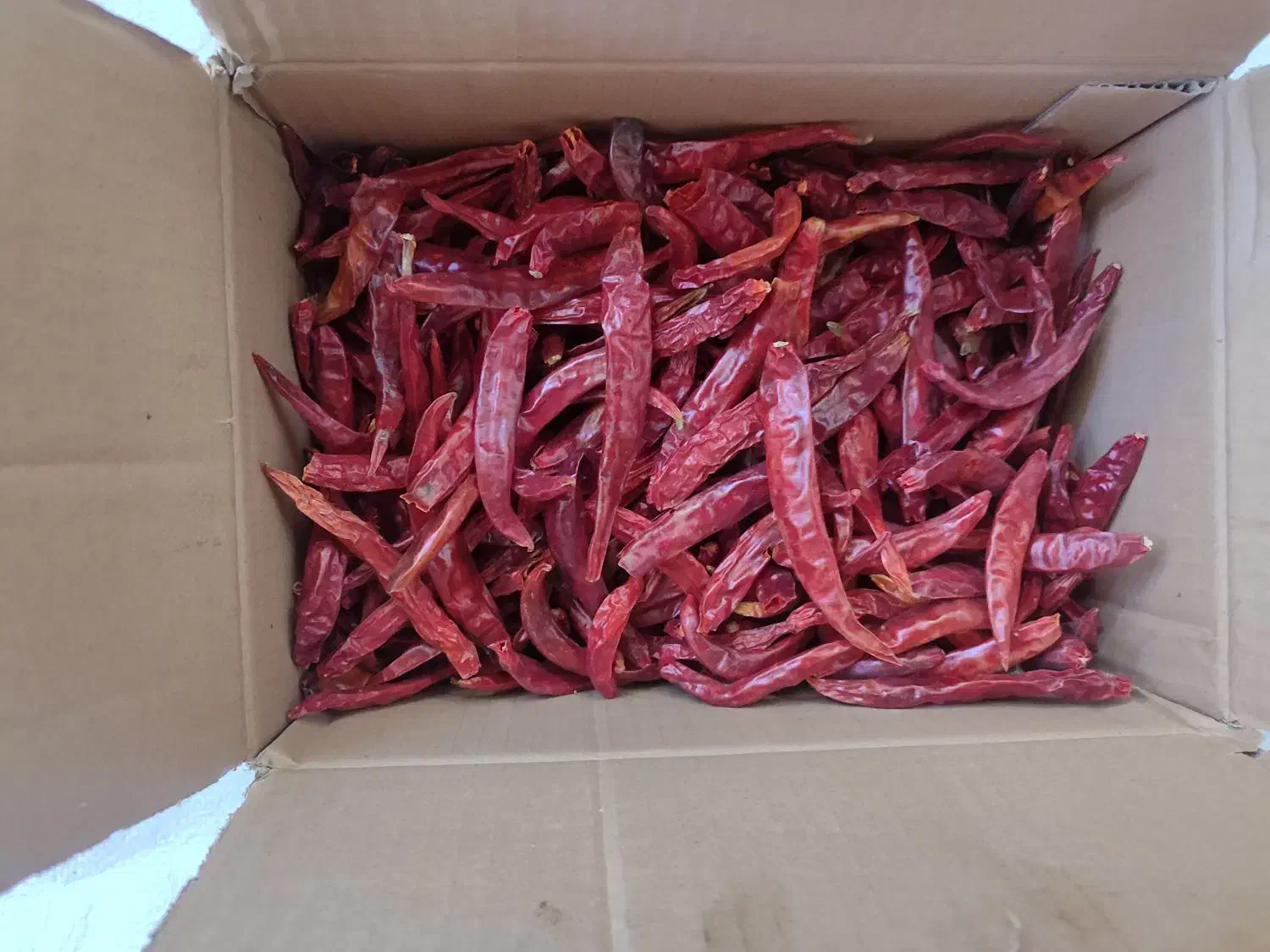 فلفل دمگرفته شیرازی|عمده‌فروشی|منوجان, |دیوار