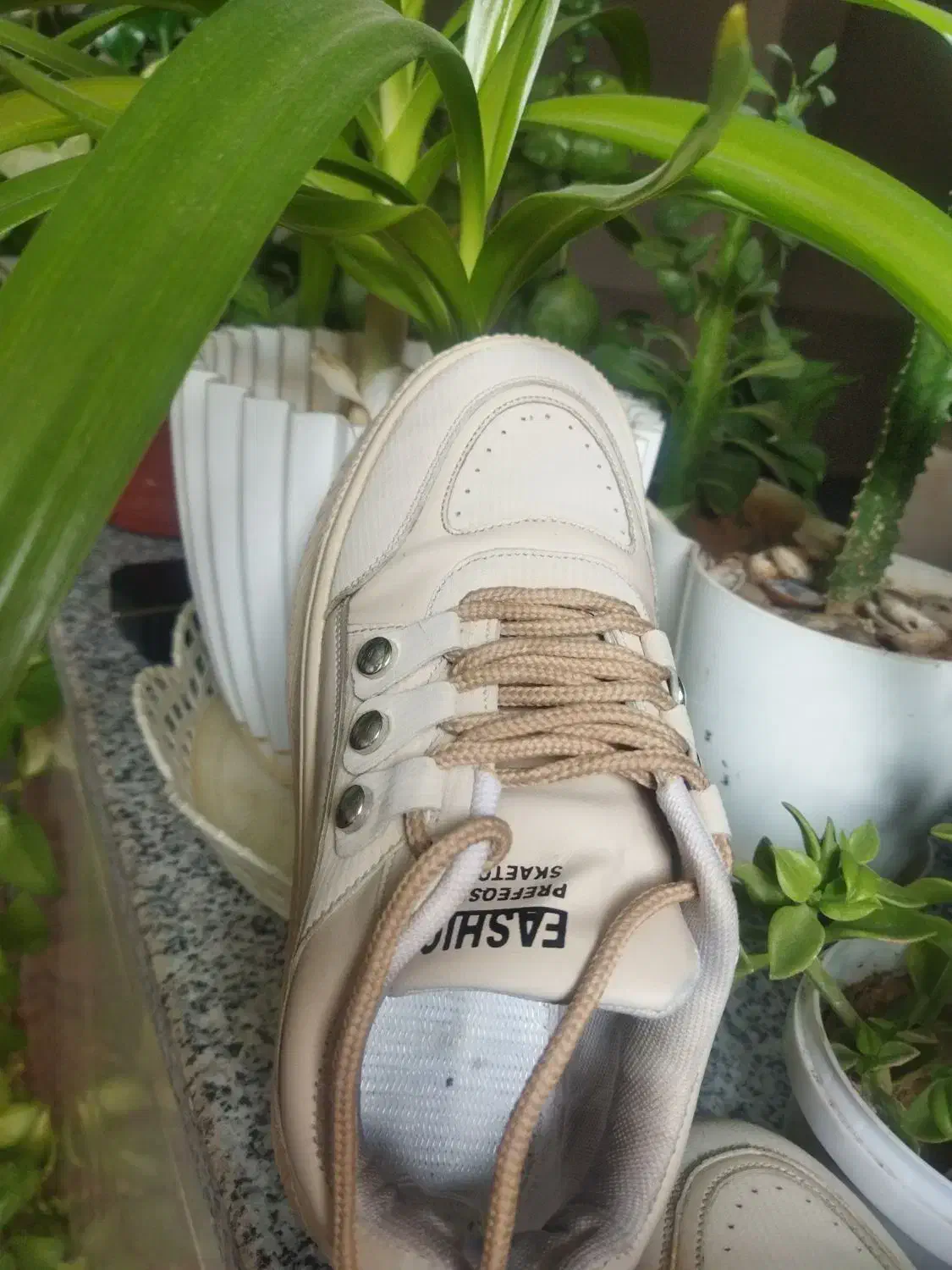 کفش|کیف، کفش، کمربند|لردگان, |دیوار