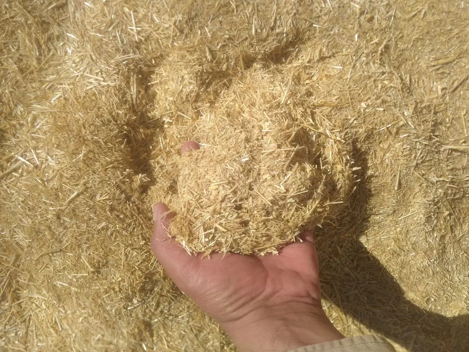 مال سرگل کمپاین ریز|خدمات باغبانی و درختکاری|کوهدشت, |دیوار