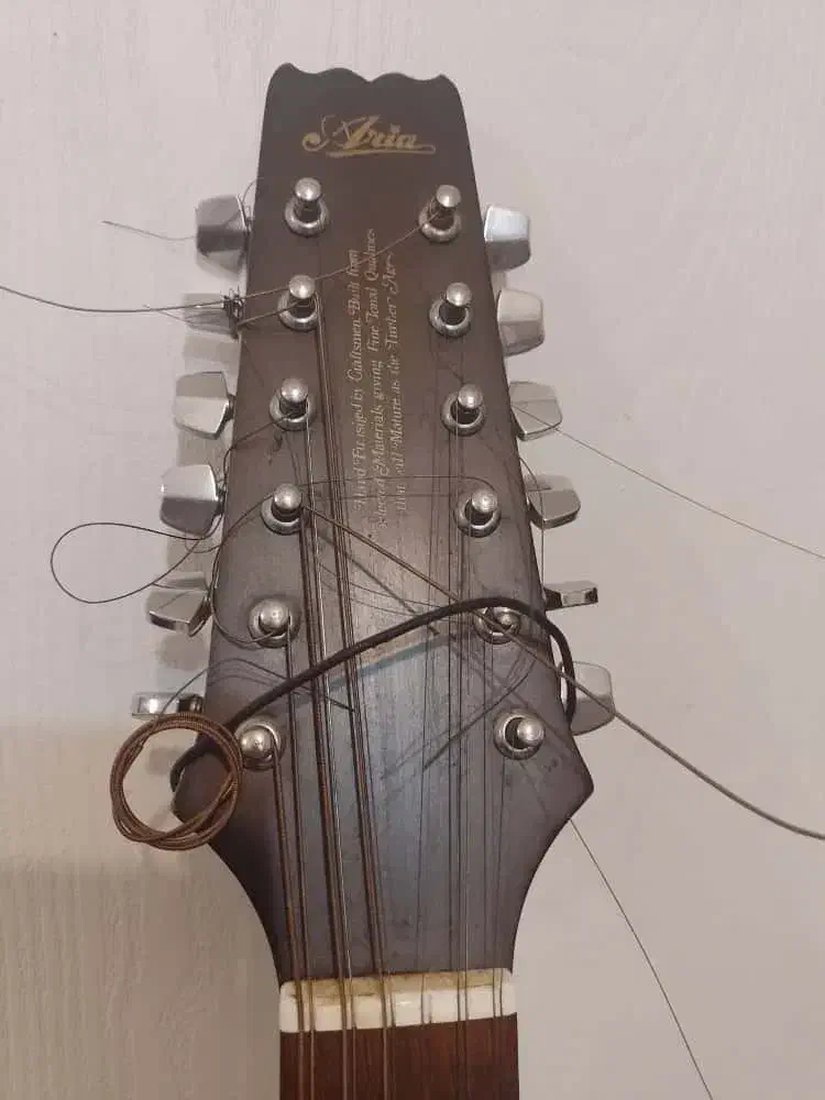 گیتار 12 سیم Aria اورجینال ژاپن|گیتار، بیس، امپلیفایر|کرج, گلشهر|دیوار