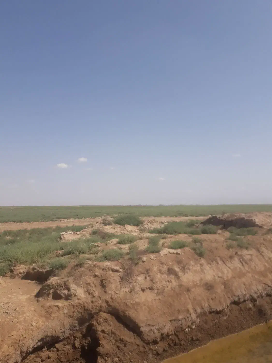 1000 متر زمین، هزار متر زمین|فروش دفتر صنعتی، کشاورزی، تجاری|گنبد کاووس, |دیوار