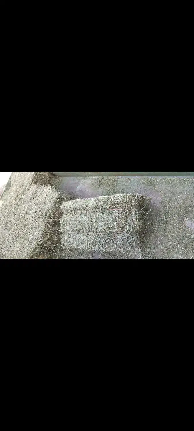 فروش یونجه خوراک دام|خدمات باغبانی و درختکاری|سراب, |دیوار