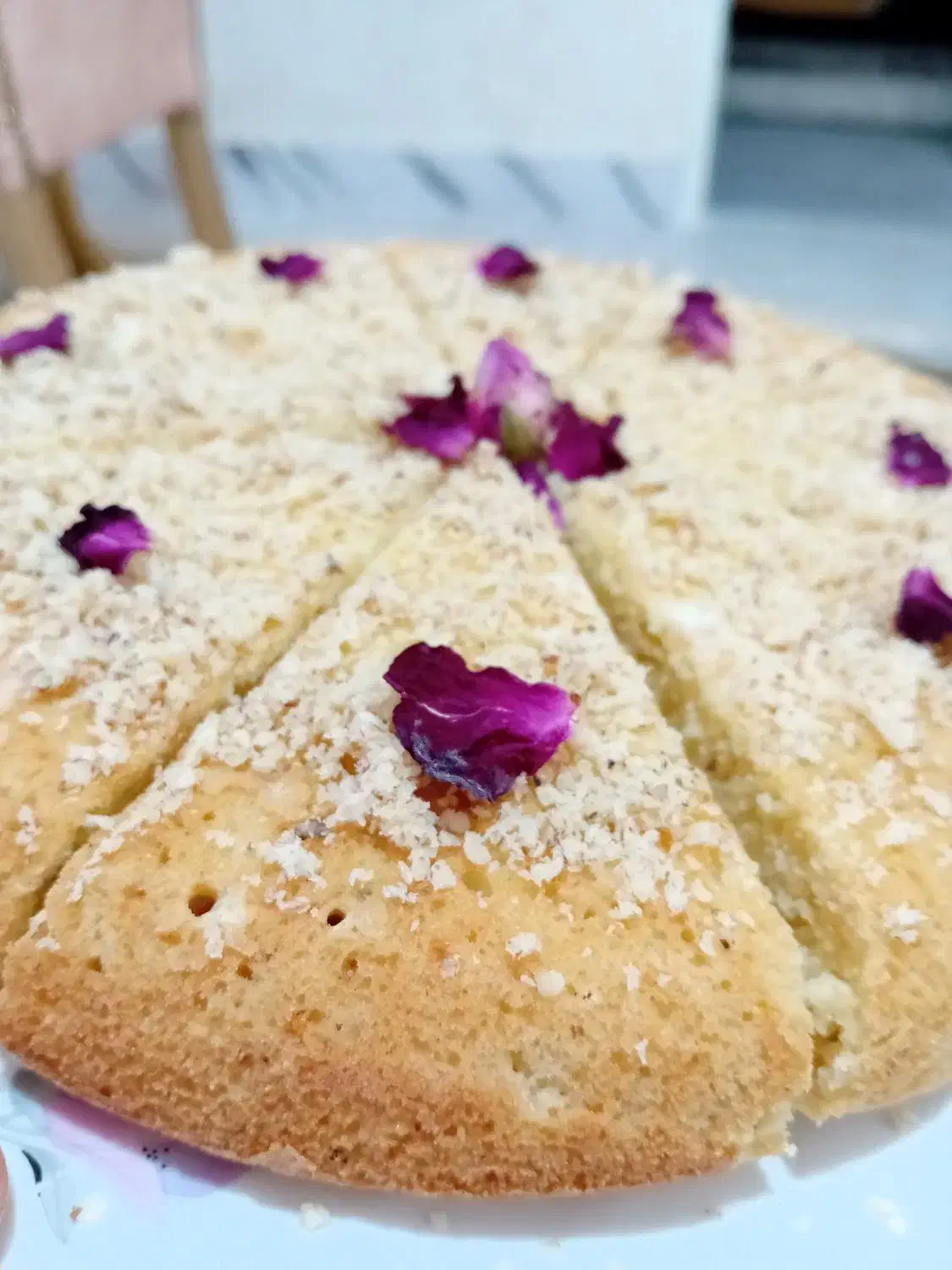 انواع کیک وکلو چه ورشته وخوشکار|خوردنی و آشامیدنی|رشت, فخب|دیوار