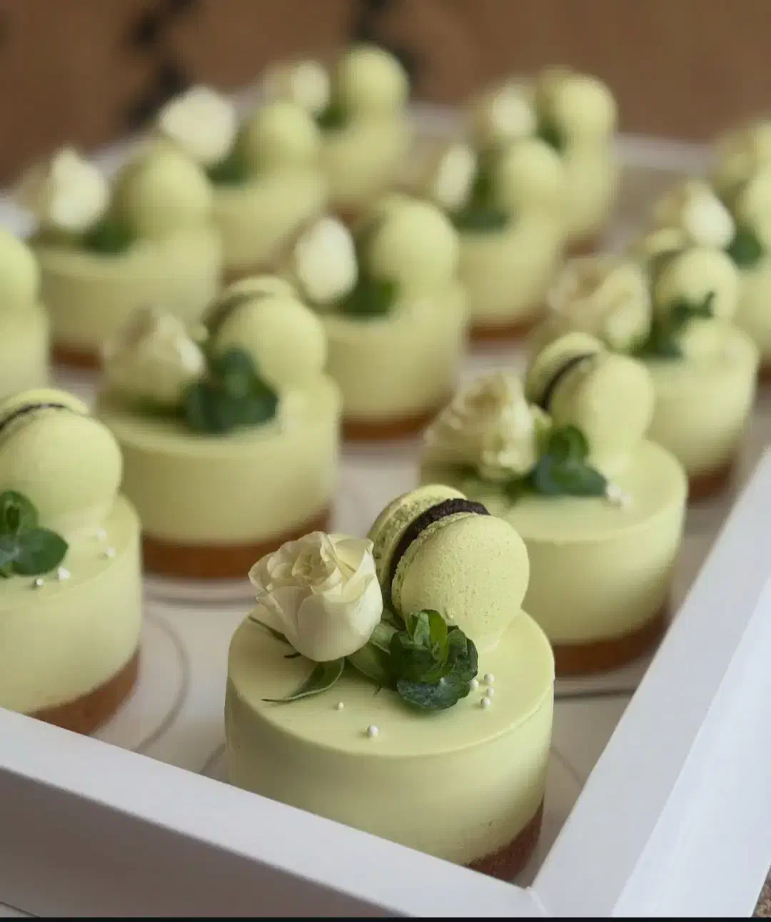 کیک و چیزکیک خانگی مخصوص کافه‌ها|خدمات پذیرایی، مراسم|کرج, گوهردشت|دیوار