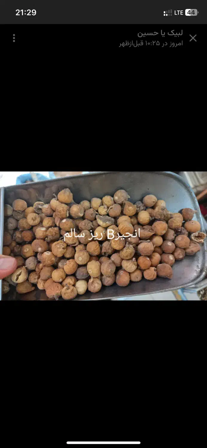 انواع انجیر..|خوردنی و آشامیدنی|قم, آزادگان|دیوار