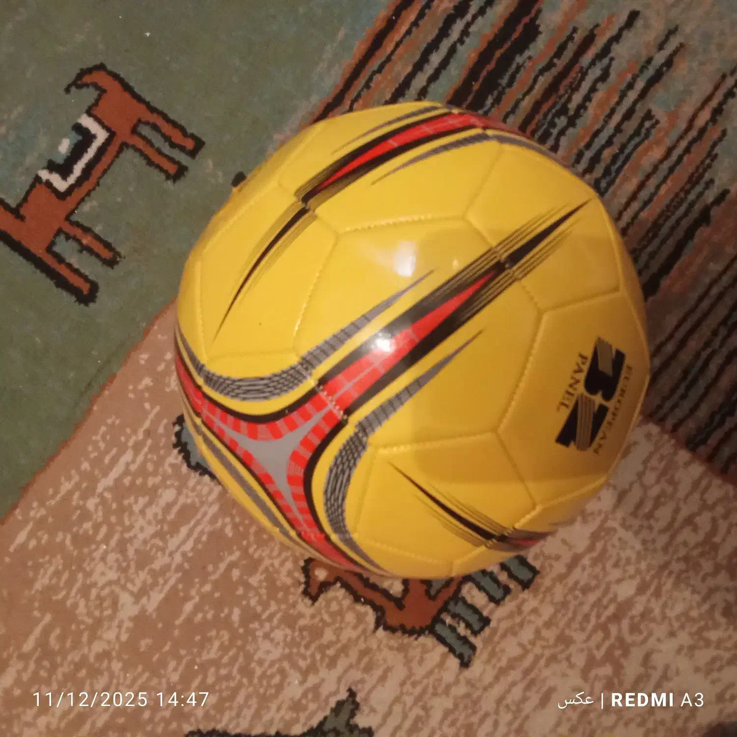 توپ سالنی|ورزشهای توپی|سمنان, |دیوار