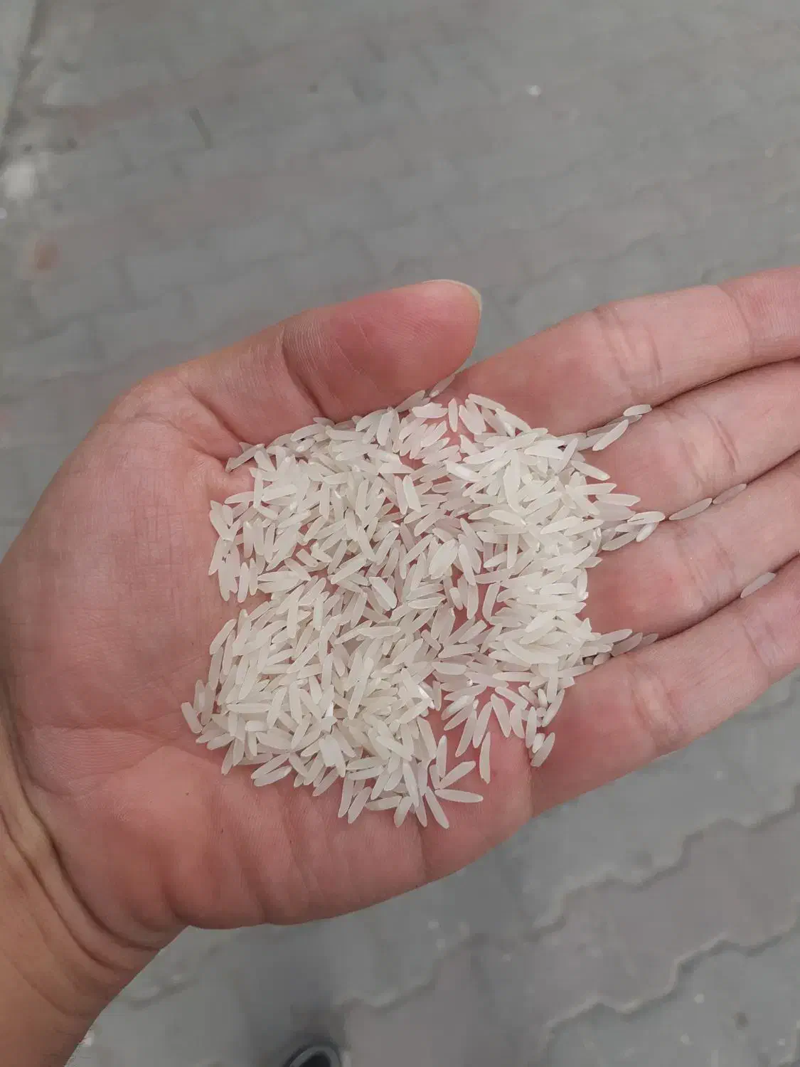 برنج فجر سوزنی سورت شده (گرگان)|خوردنی و آشامیدنی|اصفهان, آزادان|دیوار