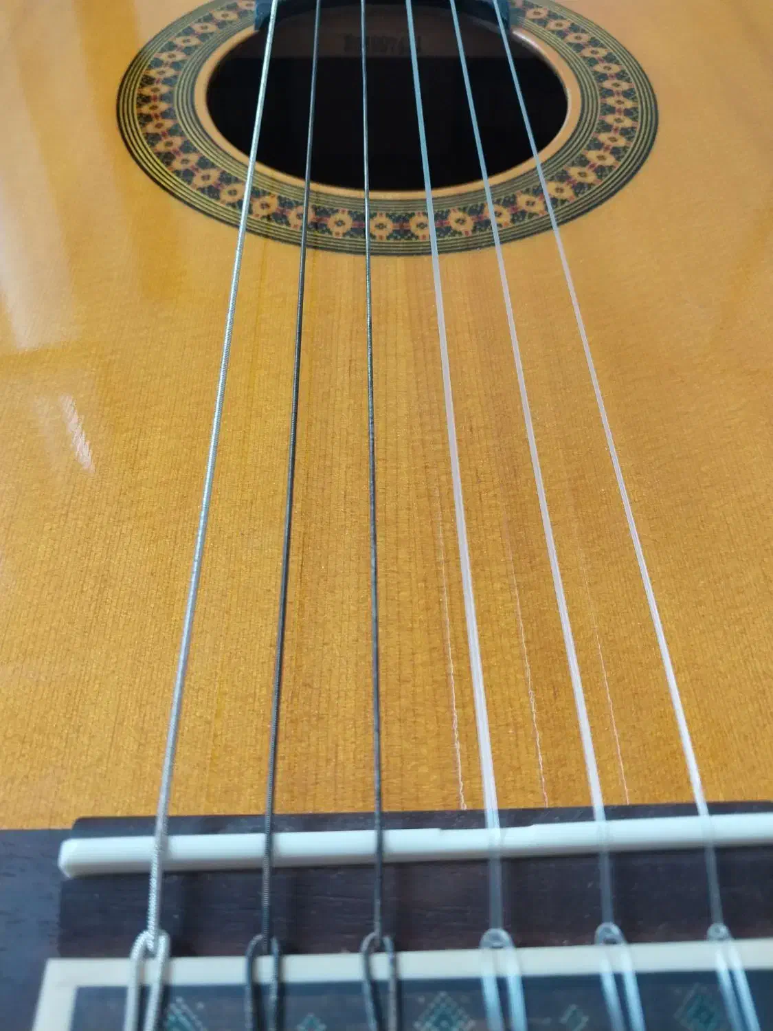 گیتار|گیتار، بیس، امپلیفایر|گنبد کاووس, |دیوار